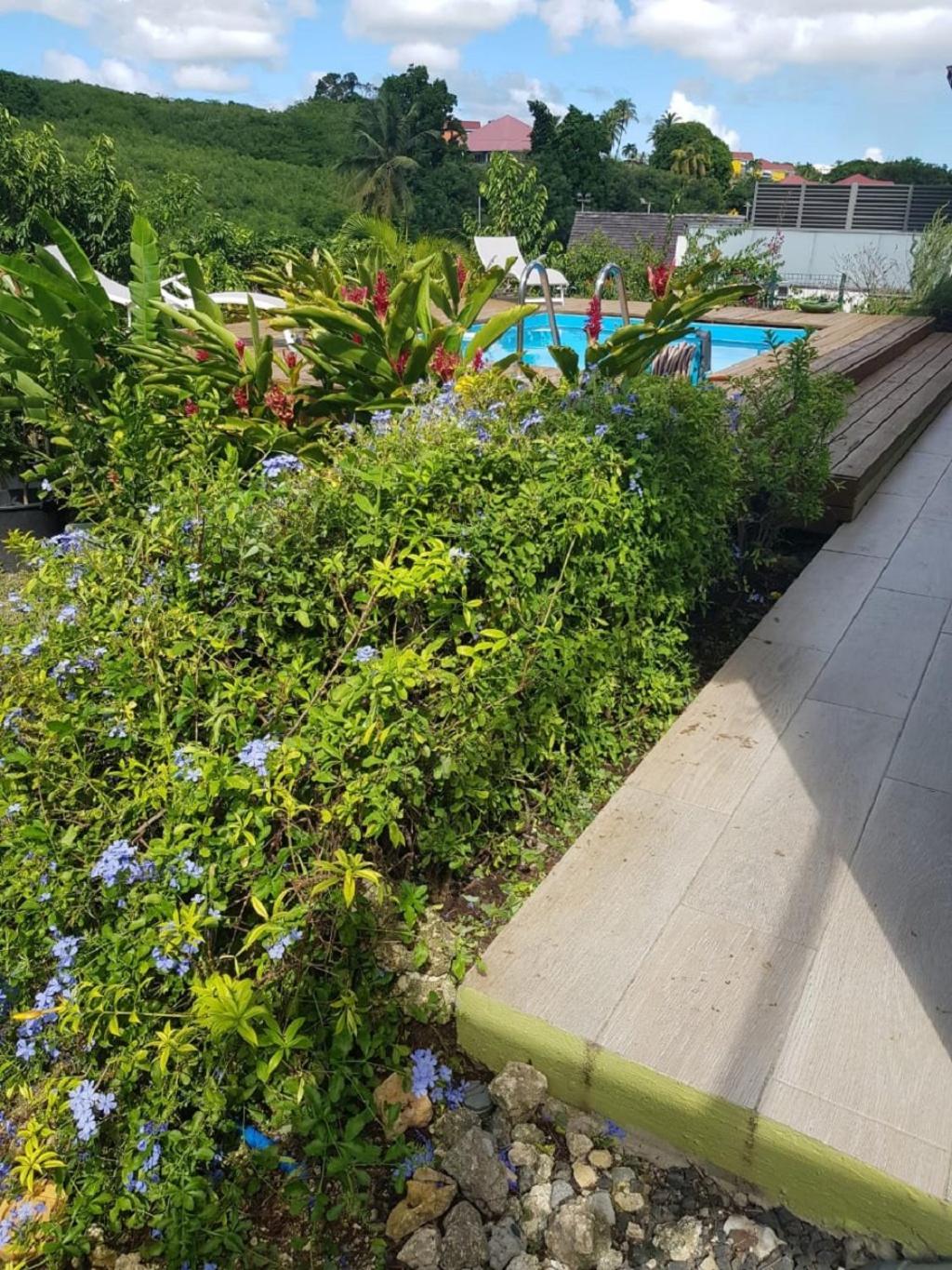 Studio Avec Piscine, A 3 Minutes A Pied Des Plages ساينت آن المظهر الخارجي الصورة